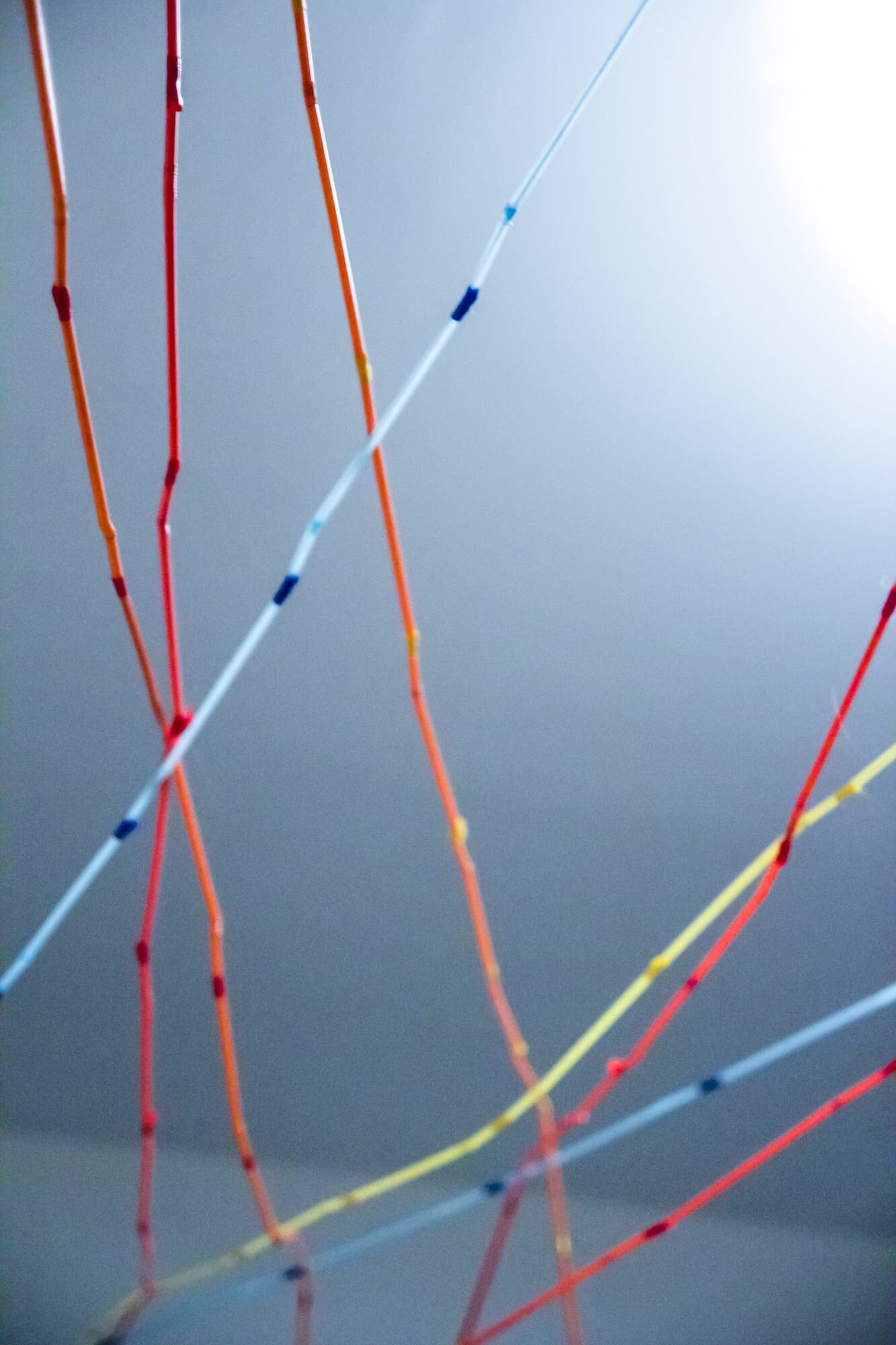 Everything is connected